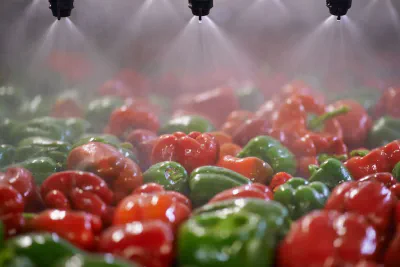 Food Spraying Systems in the Food Production Industry: Saturn Spraying Leading the Way