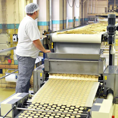 The Art of Temperature-Controlled Spraying: Food Coating Expertise